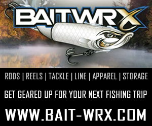 baitwrx_300x250.png